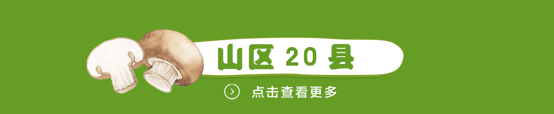 山区20县
